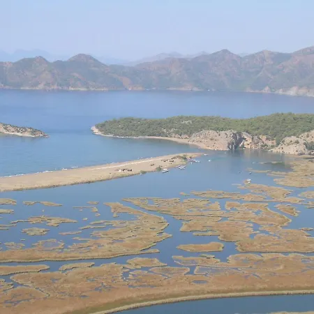 Ela, Royal Links,sarigerme *