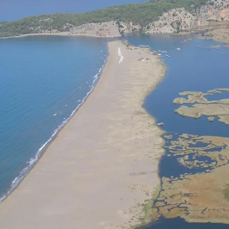 Ela, Royal Links,sarigerme *